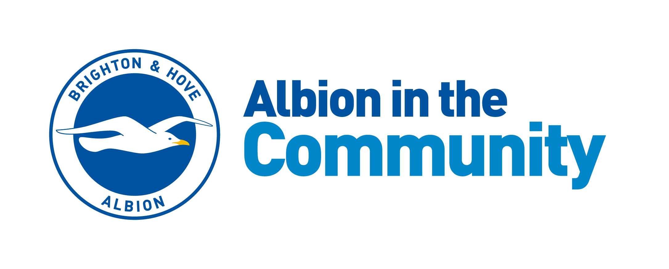 Festival picks Albion in the Community as charity for 2018 event