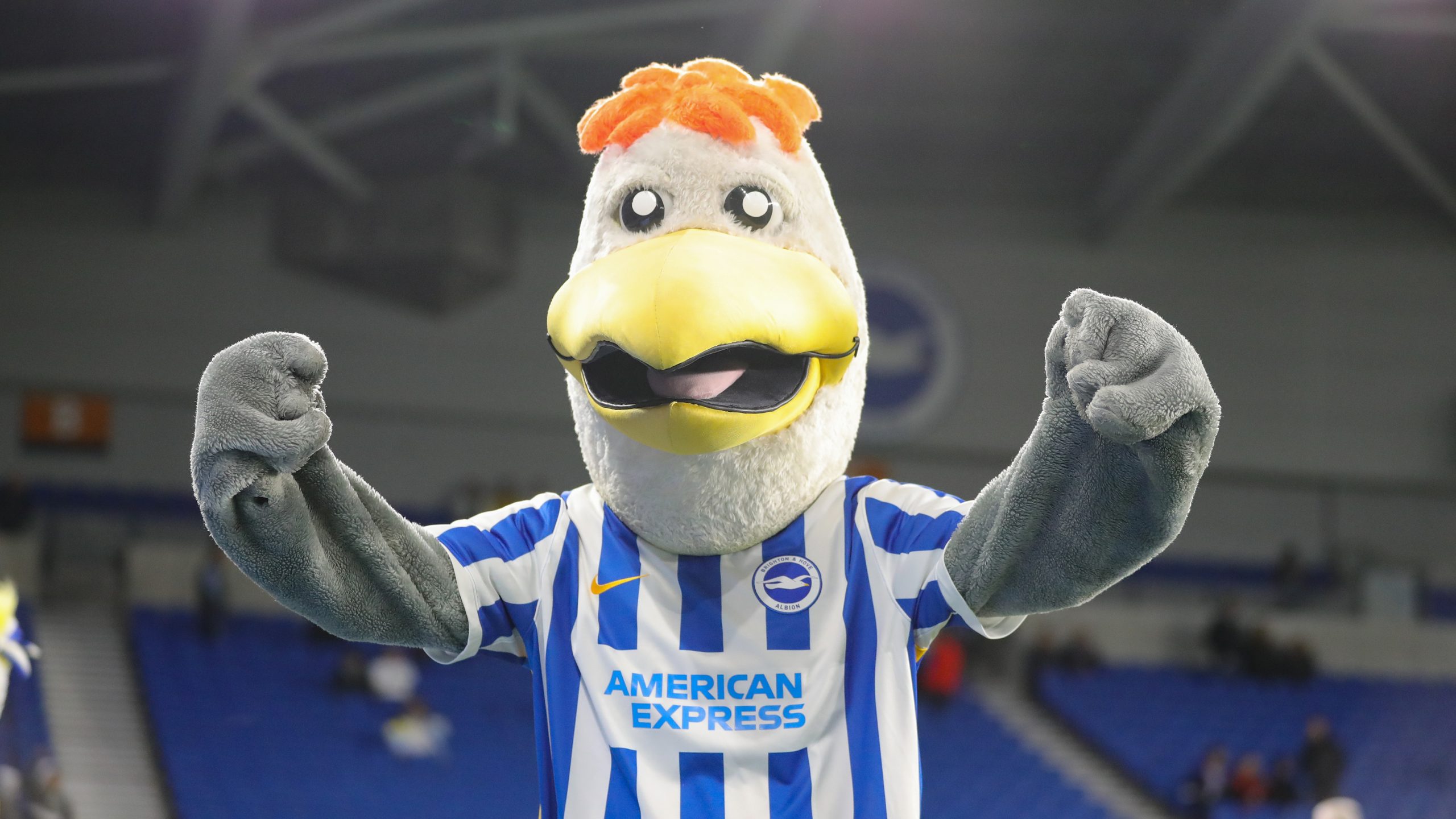 Blue and White Week 2022 begins at AITC